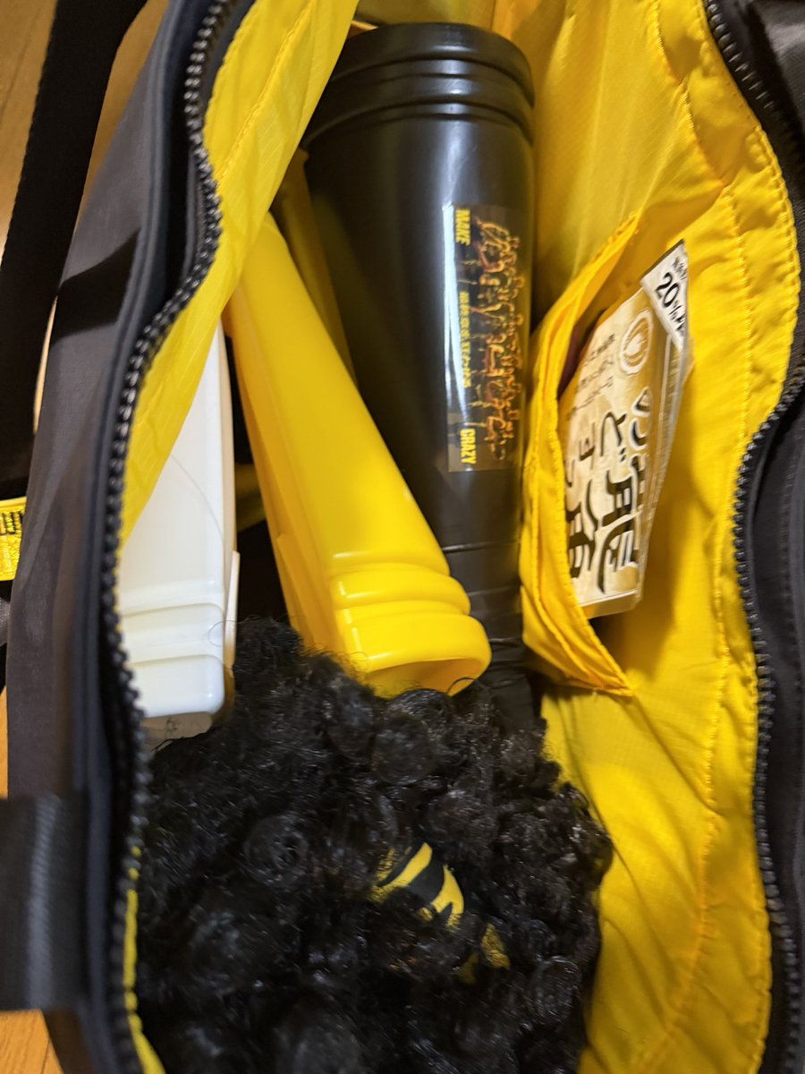 群馬のかみなりさま(確実に仕留めなければならない⚡️) tweet media