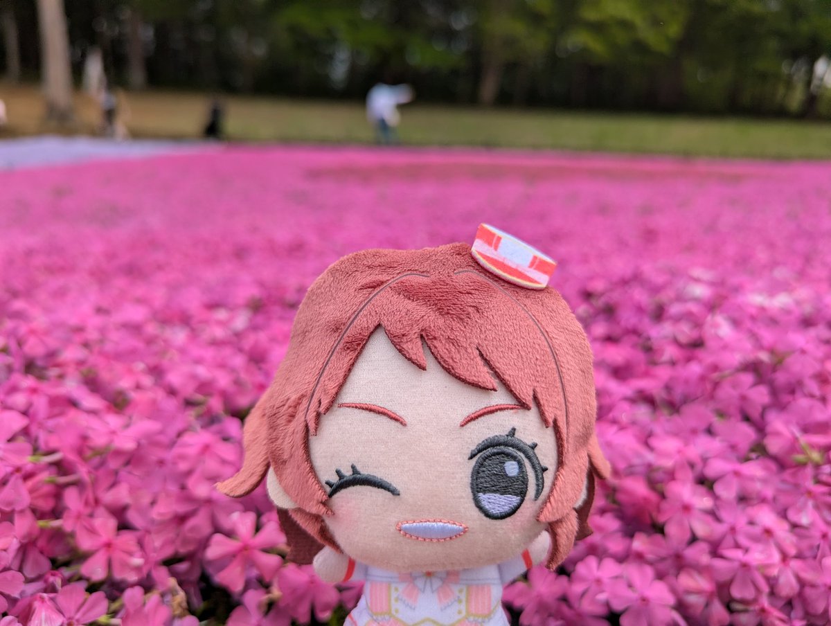 山森彩加 (QuizKnock) tweet media