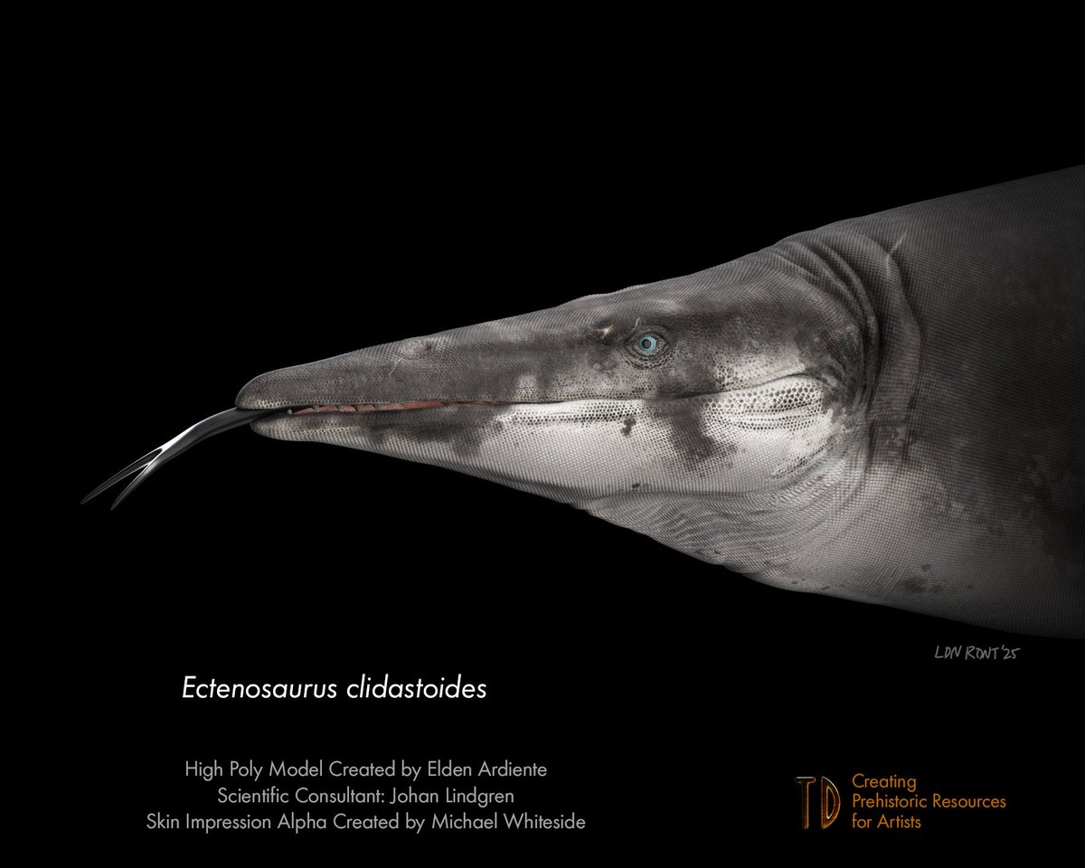 Elden Ardiente tweet media