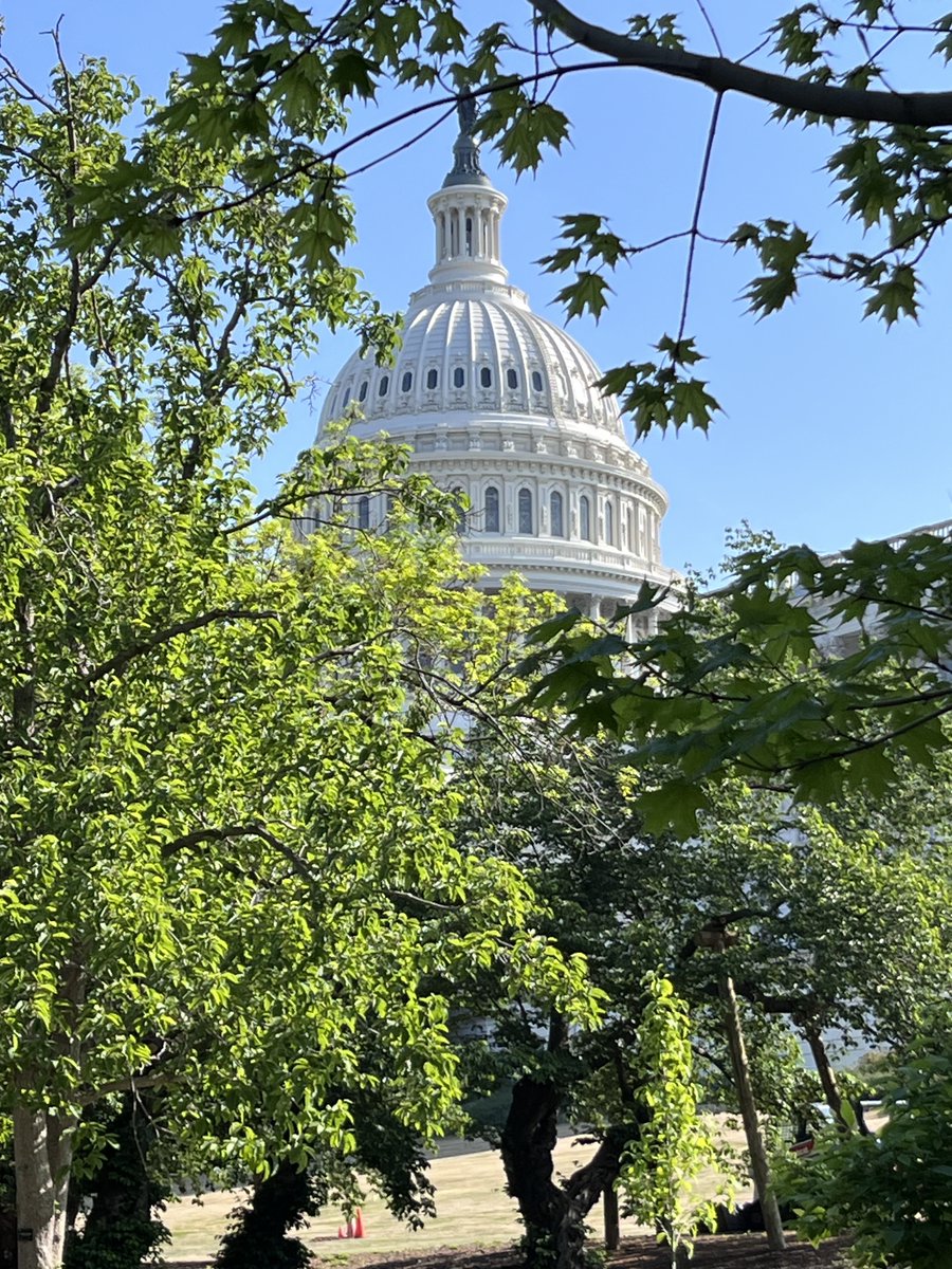 BigINewYork's tweet image. Big I New York is on the ground in Washington, D.C. for the Big “I” Legislative Conference.

From New York to D.C., we’re making sure the voice of independent agents is heard.

#BigINY #BigILegConf #InsuranceAdvocacy