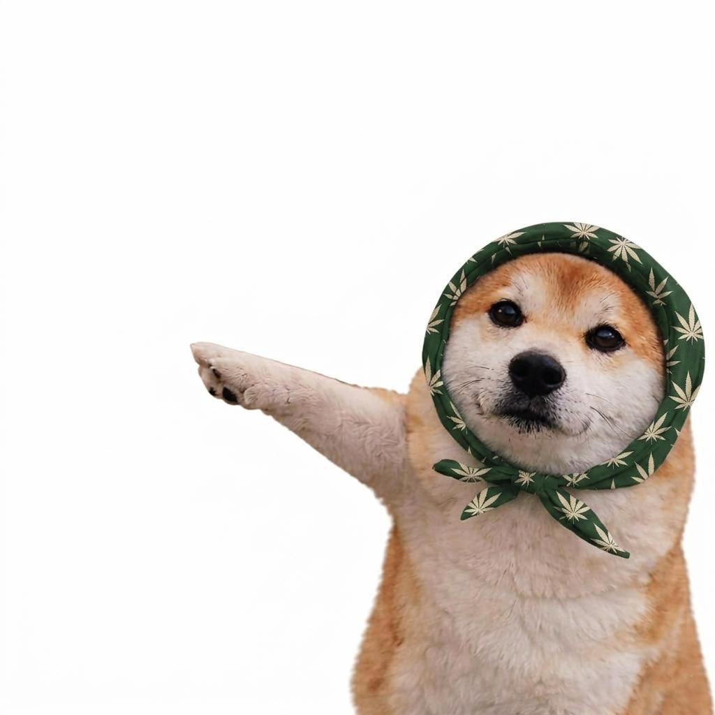 unknown.eth tweet media