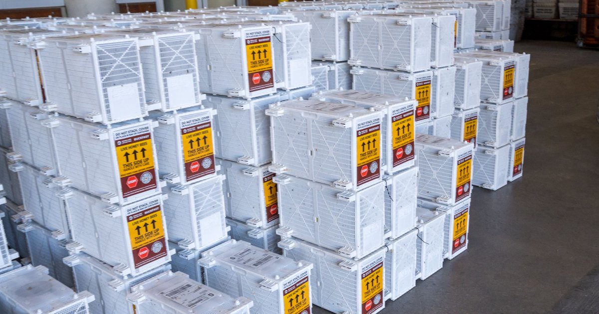 Mann Lake Bee & Ag Supply tweet media