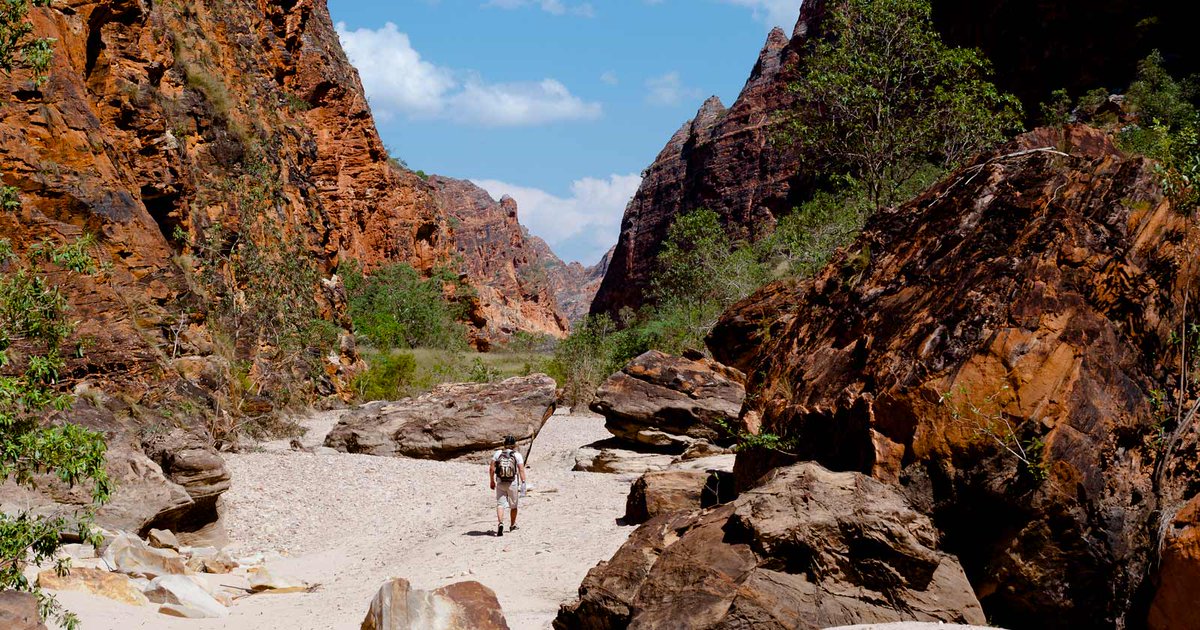 TrailHikingAust's tweet image. The Piccaninny Gorge hike is a 40km, grade 5 hike located in Purnululu National Park, Western Australia. The hike should take around 2-3 days to complete.

#hiking #bushwalking  #trailhikingaustralia #TrailsWA #WalkWA #HikeWA #WesternAustralia #Purnululu
trailhiking.com.au/hikes/piccanin…
