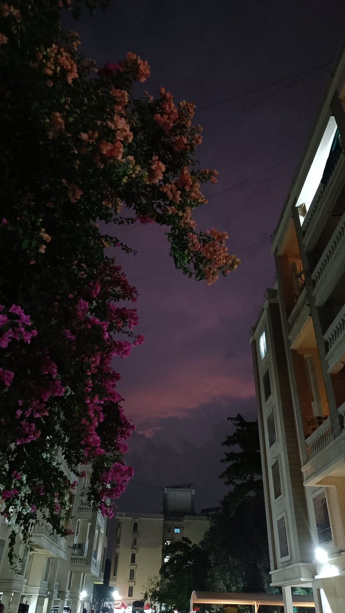 The world is so beautiful and I'm copped up all day in my room STUDYING