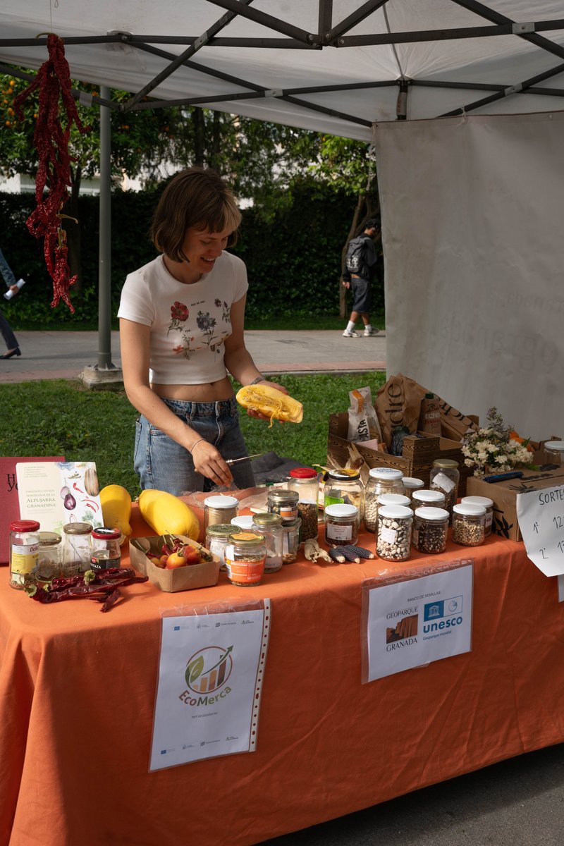 CanalUGR's tweet image. 🥔Alimentos de temporada, de proximidad y cultivados bajo principios agroecológicos🥖

♻️ La nueva edición del Ecomercado #UGR en Fuentenueva ha sido un éxito

💱 Un espacio de encuentro entre productores, comunidad universitaria y ciudadanía

🖥️ Noticia: canal.ugr.es/noticia/el-eco…