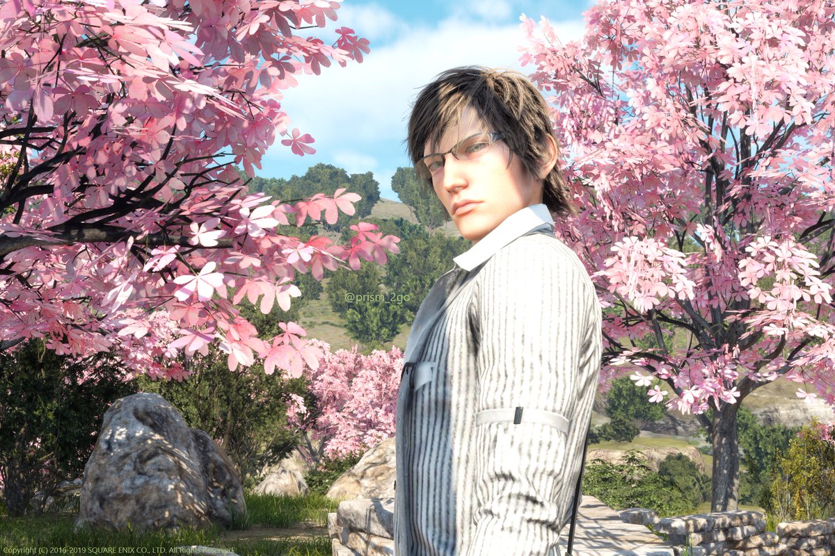 花より軍師🌸
#FF15 #イグニス