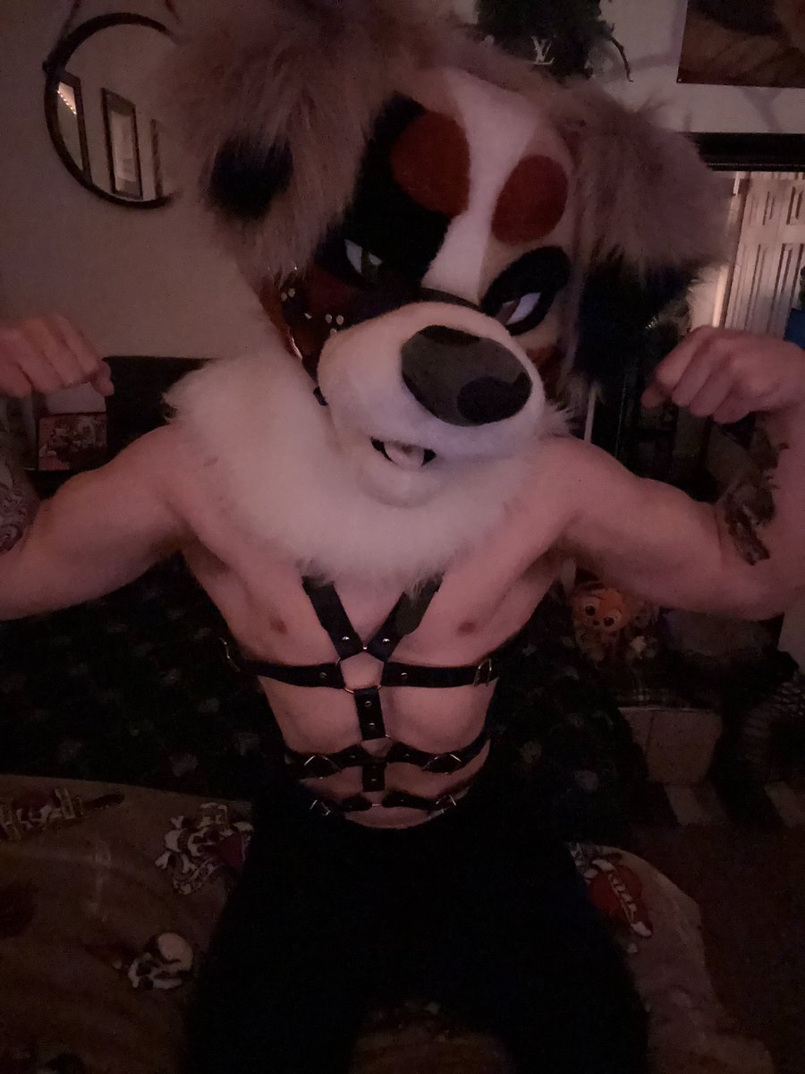 Koda’s EVIL Account 🔞 tweet media