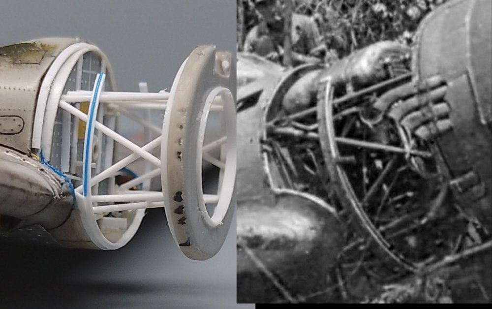 キックの鬼マナティー@トリカブト会 tweet media