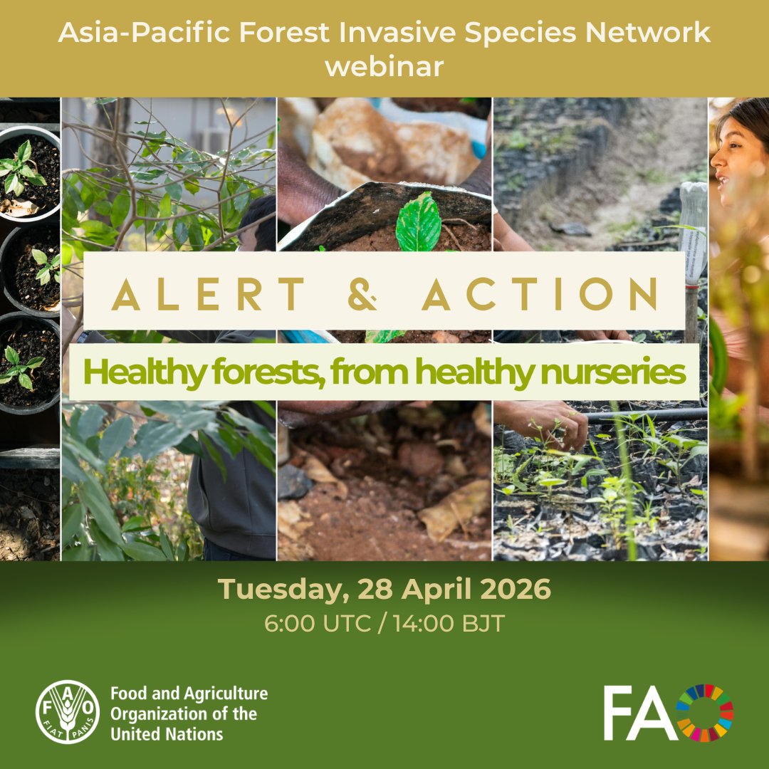 FAOForestry's tweet photo. 🌳🎙️ Join @FAO and its Asia-Pacific Forest Invasive Species Network @APFISN for an online webinar
 
 Alert &amp; Action: Healthy forests, from healthy nurseries 🌿
 
📅 Tuesday 28 April 2026
⏰ 6:00 UTC 
Register 👉  https://t.co/2xtU35GV5d

#ForestHealth @FAOAsiaPacific https://t.co/ADOQHFXWJu