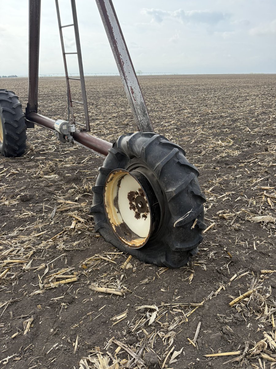 Laura Farms tweet media