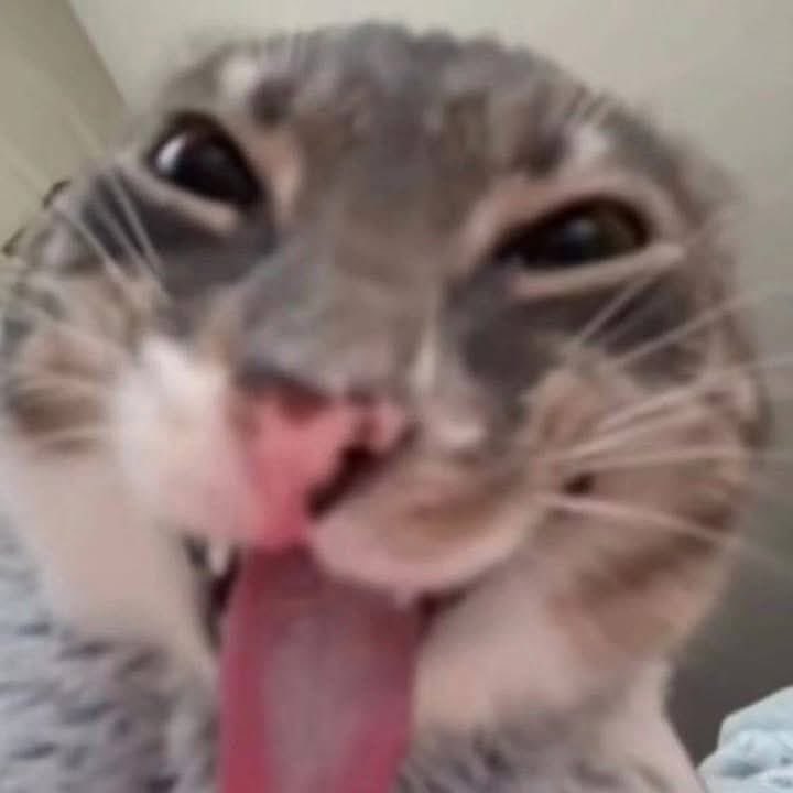 Mi Mi Mi tweet media