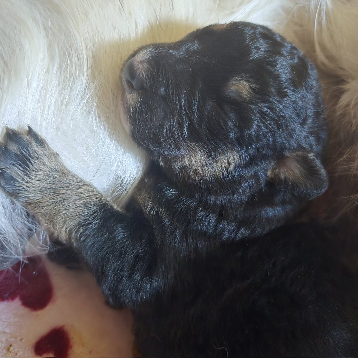 Jade ୨♡୧ tweet media