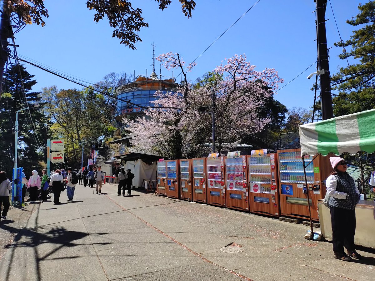 あかつき tweet media