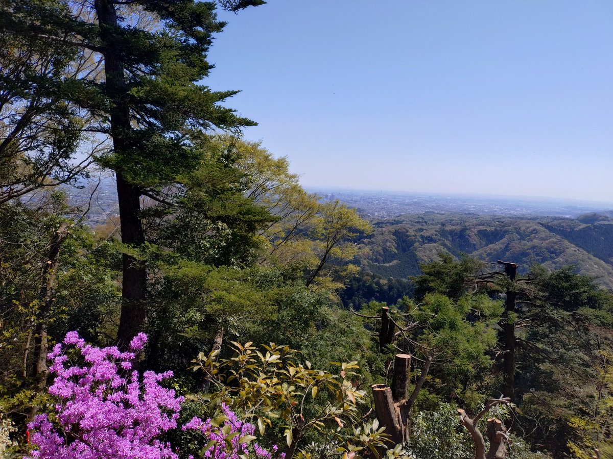 あかつき tweet media