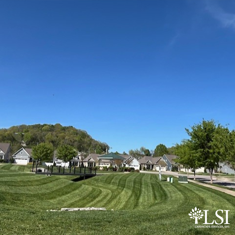LSIpros's tweet image. Spring is upon us here in Middle TN! LSI trains our crew teams to not only mow efficiently, but also perform mowing services in a manner that delivers an aesthetic appeal for our clients!

#LSI #Landscaping #Spring #Mowing #MowingServices