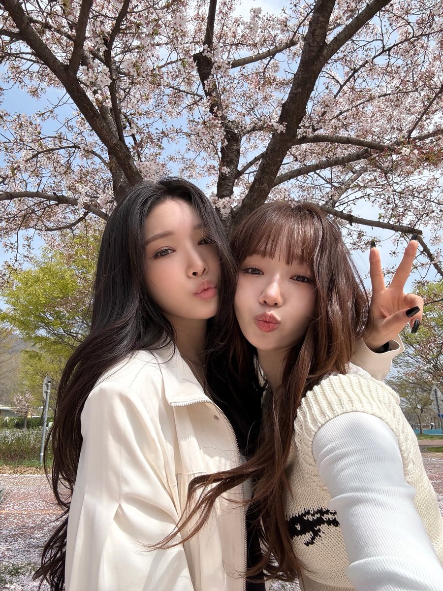 EVERYDAYCHUNGHA tweet media