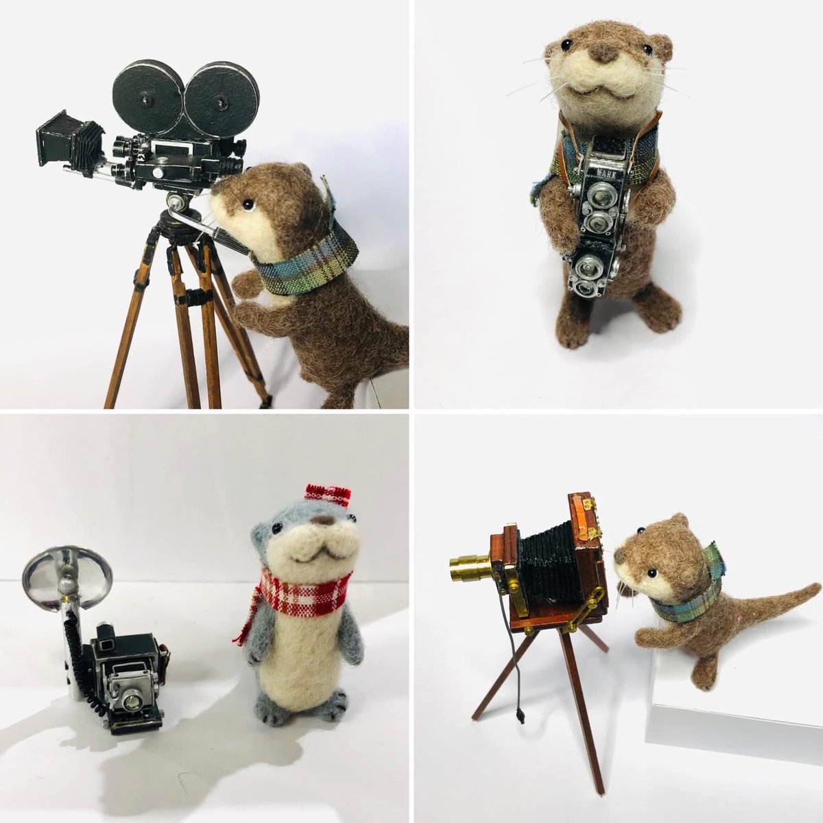 かめらもじゅーる工房/Kobo(MarkTanaka)Cam. tweet media