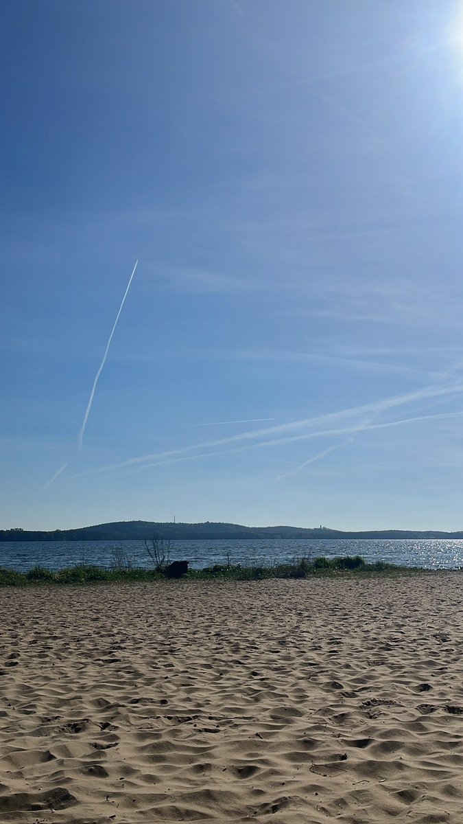 Hugo H. Busse A' T + ( Hugo Holger Busse) tweet media