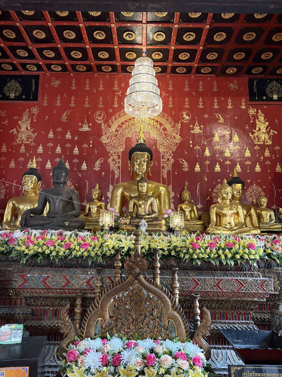 D for Daffodils 🌼 tweet media