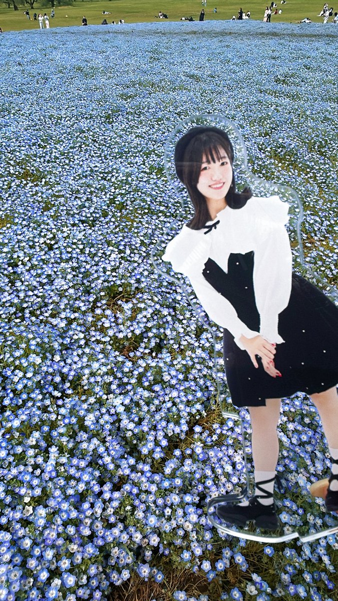 でぱた🌻 tweet media