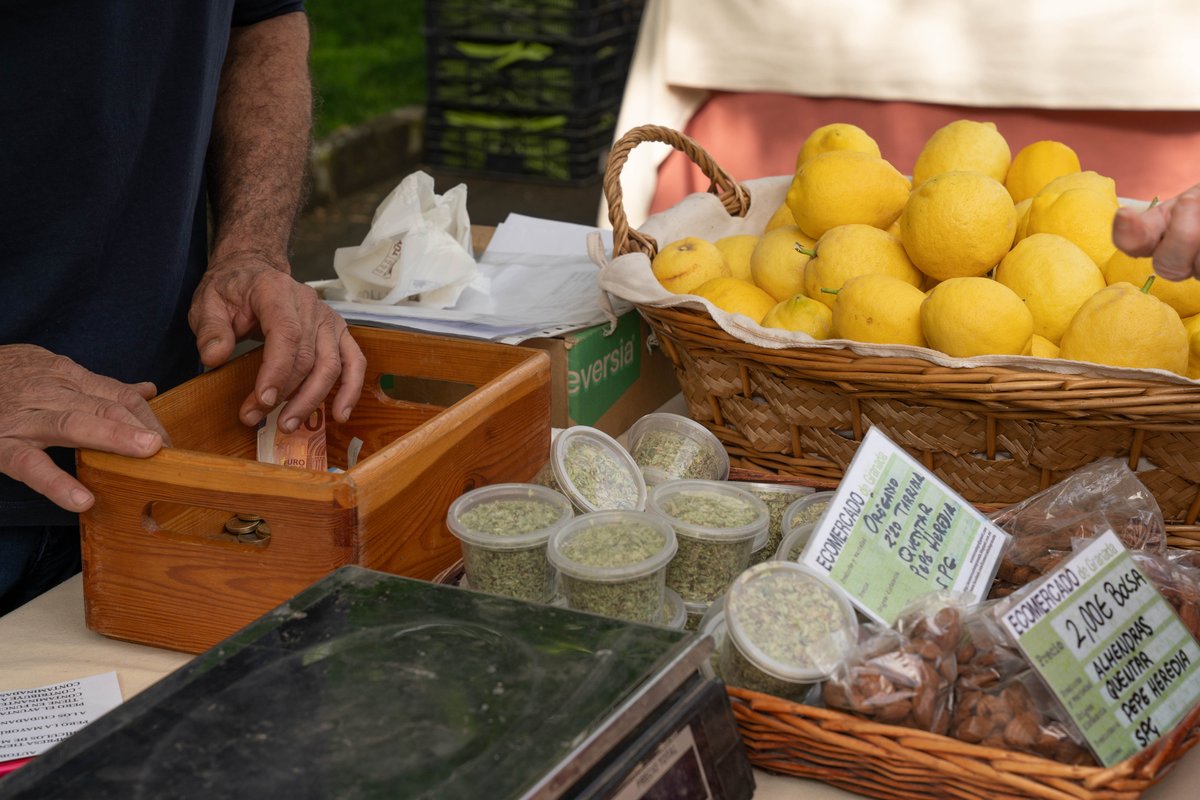 CanalUGR's tweet image. 🥔Alimentos de temporada, de proximidad y cultivados bajo principios agroecológicos🥖

♻️ La nueva edición del Ecomercado #UGR en Fuentenueva ha sido un éxito

💱 Un espacio de encuentro entre productores, comunidad universitaria y ciudadanía

🖥️ Noticia: canal.ugr.es/noticia/el-eco…