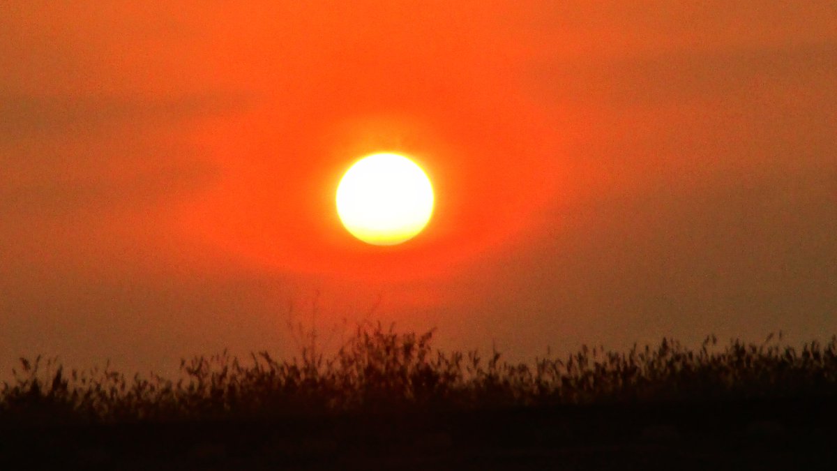 Firstonx's tweet image. #sunrise #photography