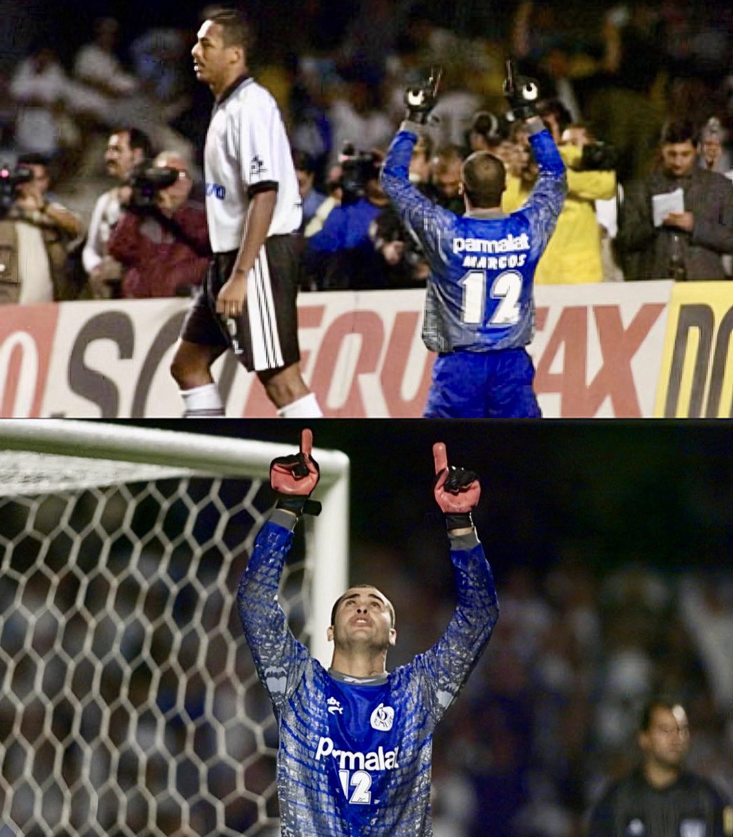 Palmeiras da Depressão tweet media