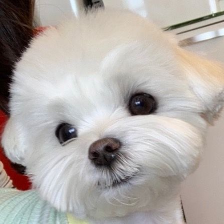 𝐏𝐚𝐲𝐮 🍋 tweet media