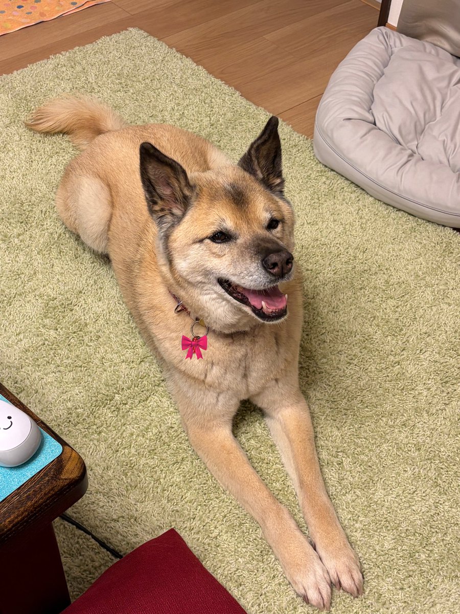 ちゃこさん tweet media