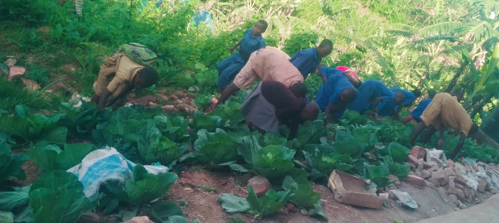 Ijamboryumwana tweet media