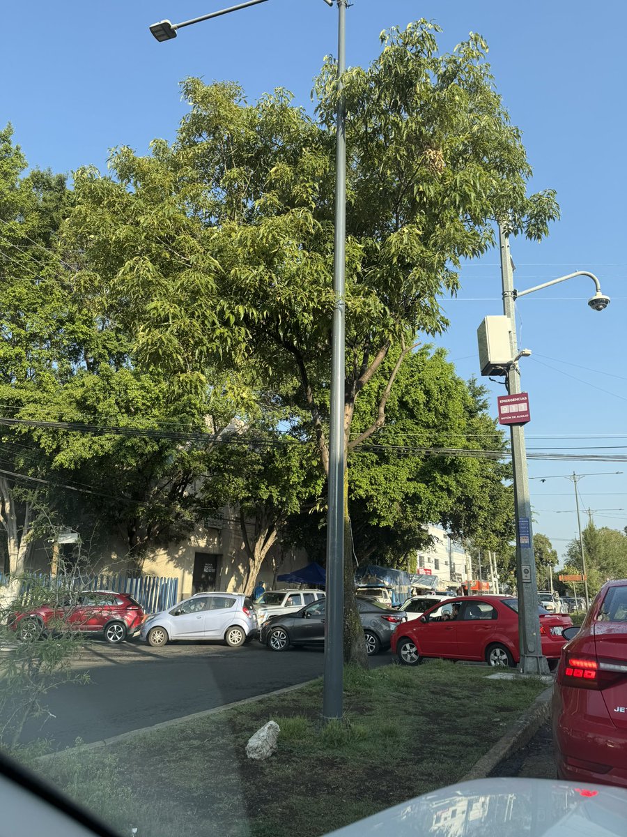 altereva1's tweet photo. @Gabyosoriohdz hola alcaldesa, vi que hay personal de la alcaldía agilizando el tráfico, pueden evaluar apoyar con este servicio alrededor del colegio Madrid porque es un caos por la mañana, colonia Ex-hacienda San Juan, saludos https://t.co/e9Q8pYTWNi