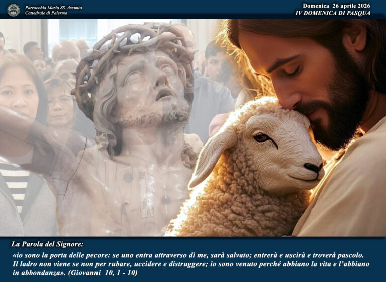 Cattedrale di Palermo tweet media