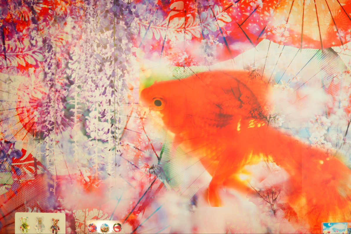 道後温泉と蜷川実花さんのコラボアートと限定ショップがめちゃくちゃ綺麗だった〜🥹🌟