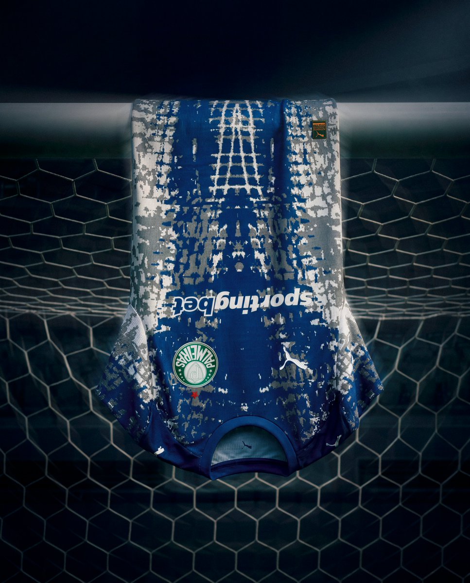 SE Palmeiras tweet media