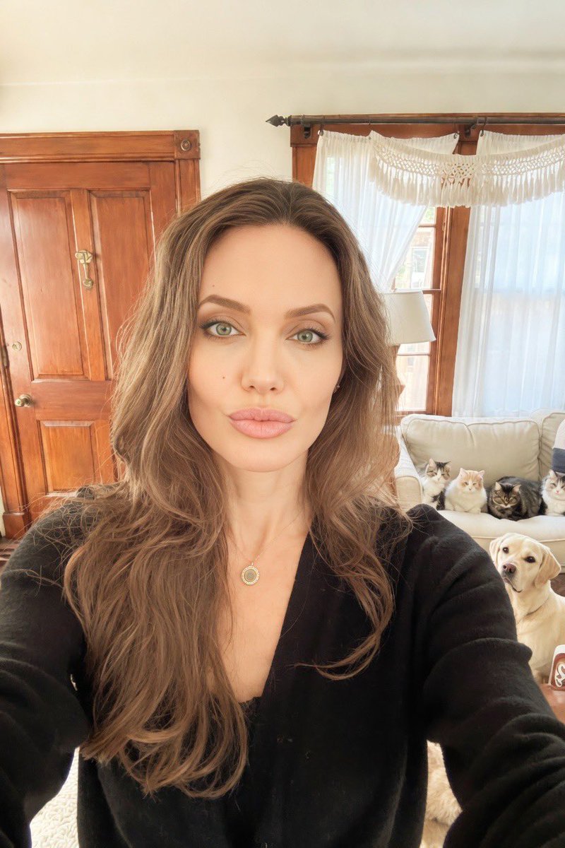 Angelina Jolie tweet media