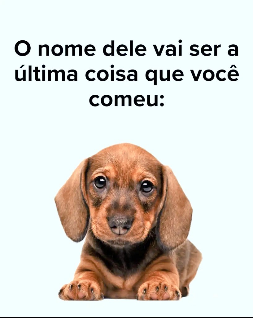 Vandinha tweet media