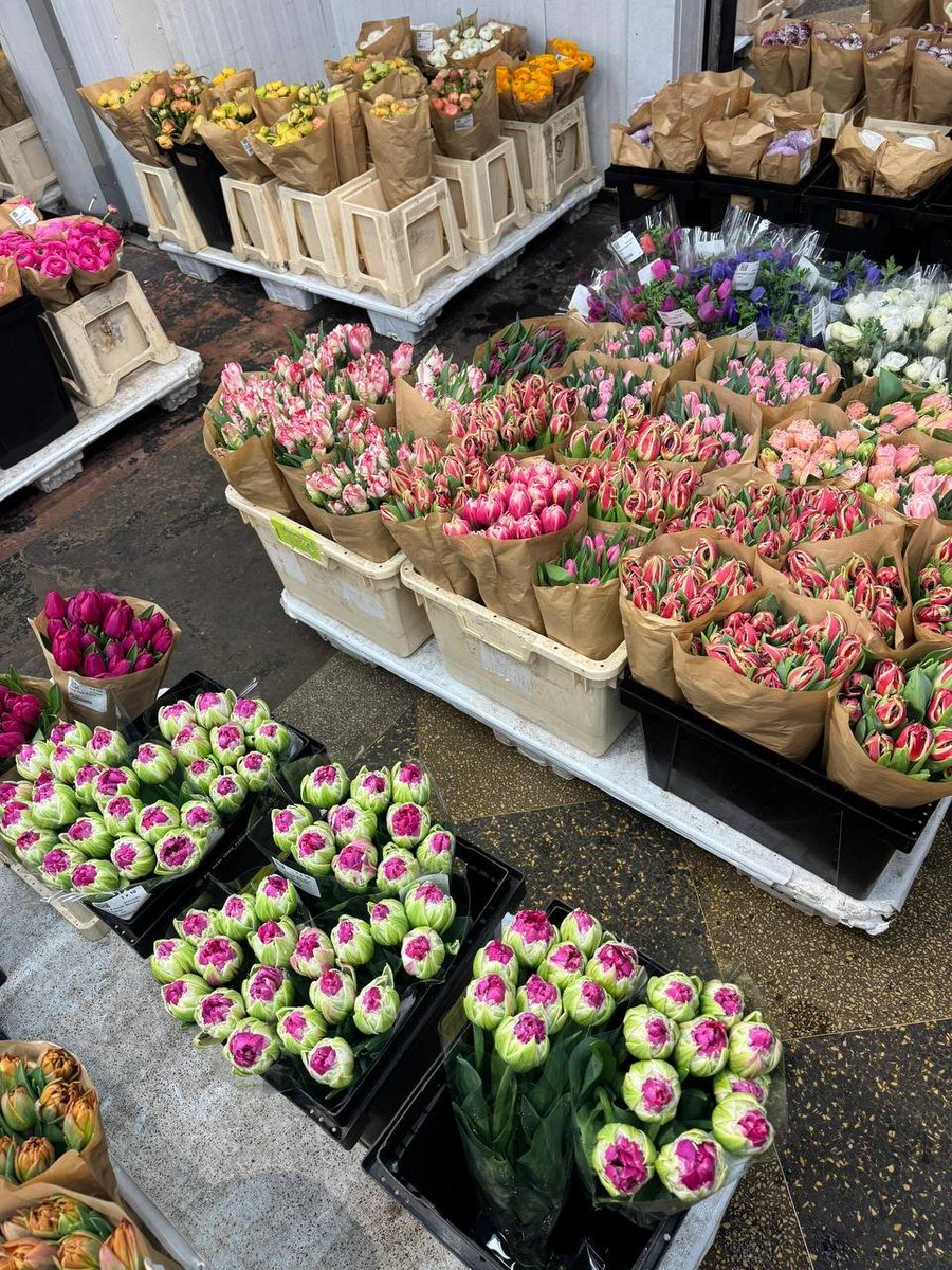 Anna_Fischer02's tweet image. Start your day with a bouquet of flowers#Flowers #Romance #Surprise