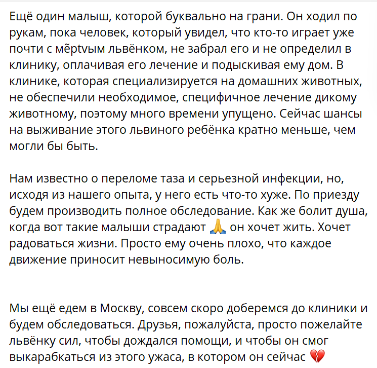 Совушка tweet media