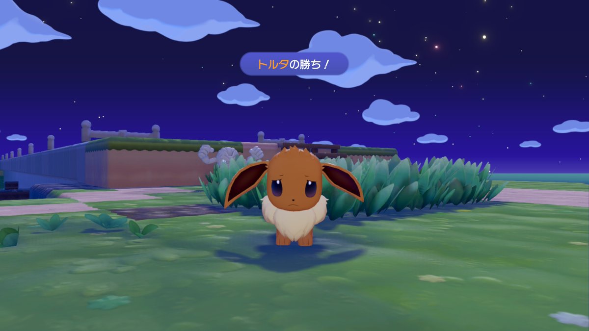 lulune_syashin's tweet image. #NintendoSwitch2 #ぽこポケ #ぽこあポケモン