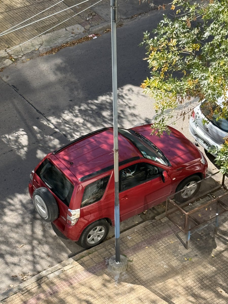 Renato Piermarini tweet media