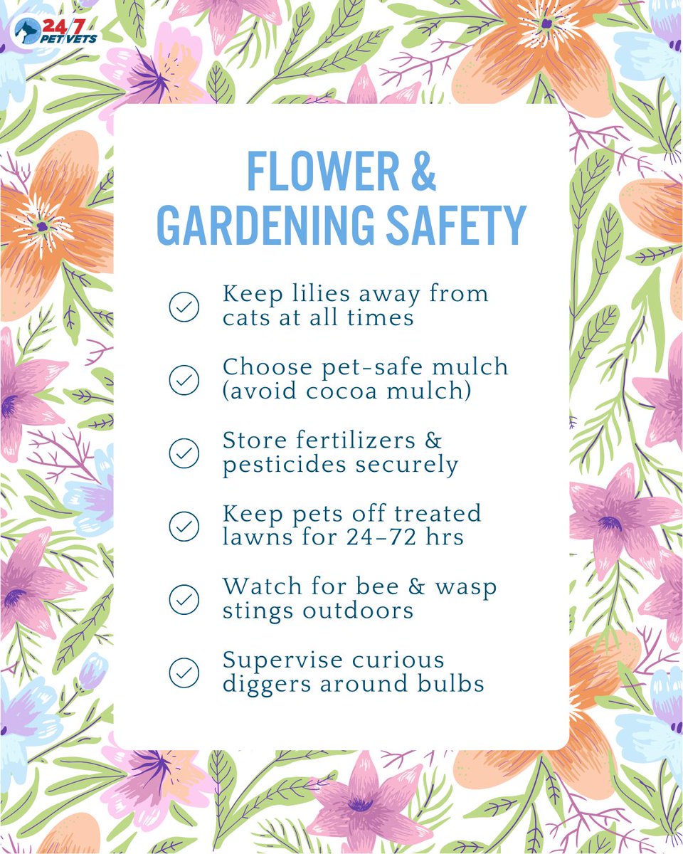 247PetVets's tweet image. Warmer weather is on the way, and so are garden hazards for curious pets 🌷🐾 Before planting or treating your yard, take a moment to make sure your outdoor space is pet-safe. Small changes can prevent big emergencies! #PetSafety #SpringGardening