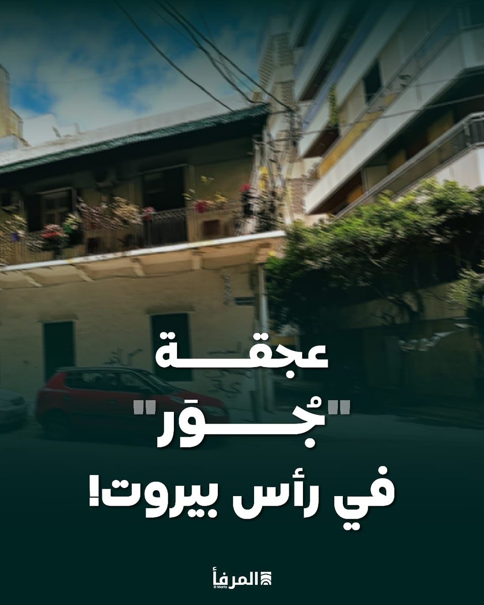 El Marfaa - المرفأ tweet media