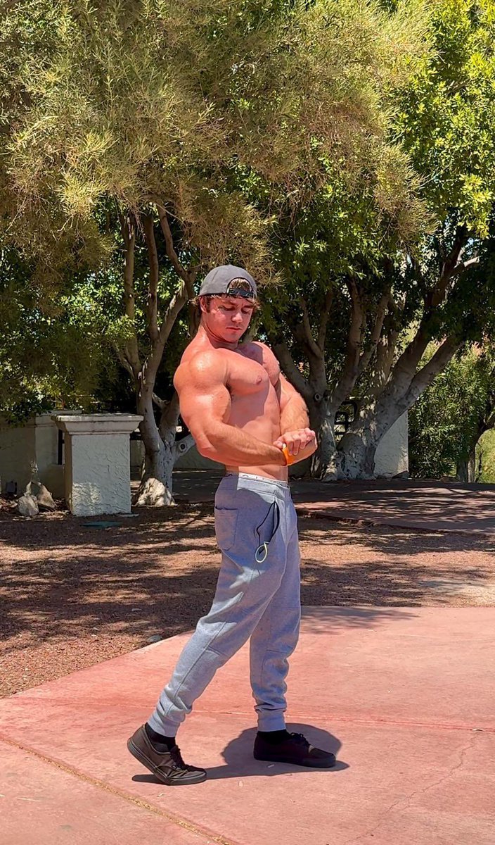 Shiny King Jamie tweet media