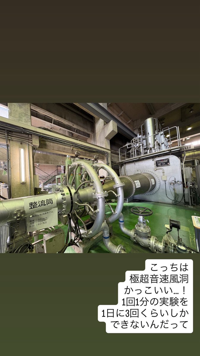 うり（鈴木麗子） tweet media