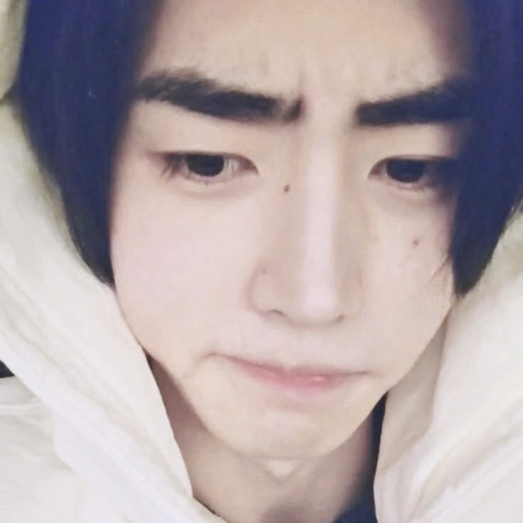 토마🍅 (slow) tweet media