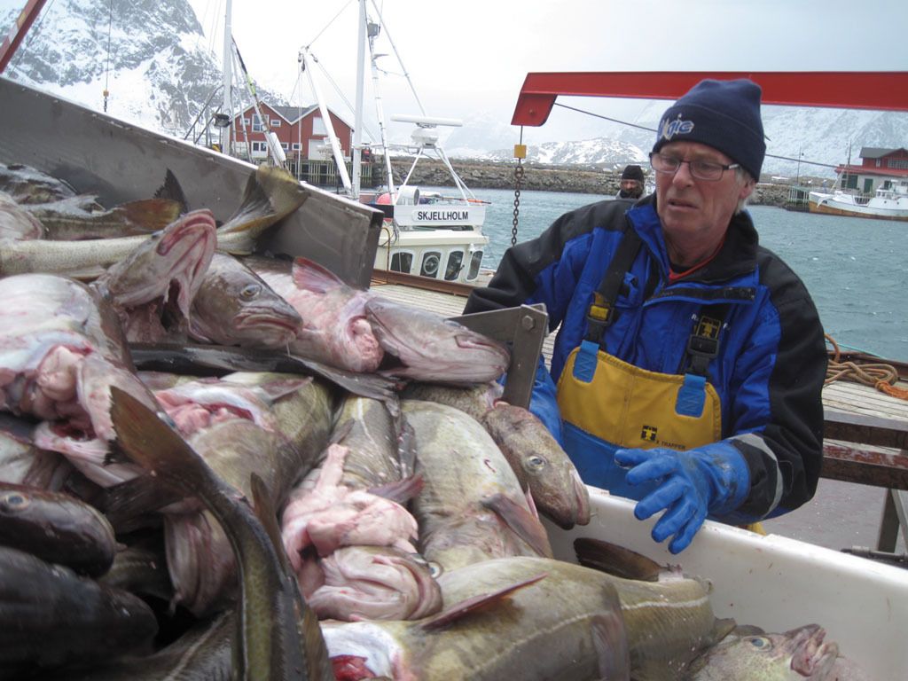 IPesqueras's tweet image. #Proyectos | #Noruega 🇳🇴 crea un grupo de expertos para mejorar la calidad y el valor de la materia prima

buff.ly/AJwsx6I