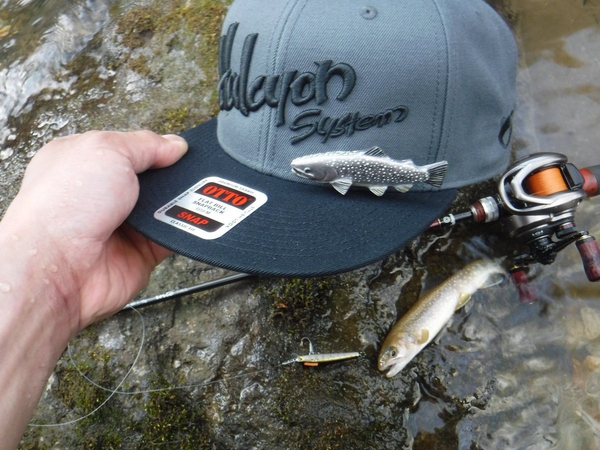 zisakukebari59's tweet photo. 温泉♨️行く前に5分程ちょい釣り🎣イワナのブローチ付きキャップ🧢被って綺麗なイワナが釣れました😆本当に良いフィールドに恵まれてます✨
#北海道 #ベイトフィネス #Fishman #Beams #inte79UL #SHIMANO #Scorpion #BFS #HALCYONSYSTEM #KIMAGURE #スミス #パニッシュ55F #イワナ #エゾイワナ https://t.co/xDin9SNlR0