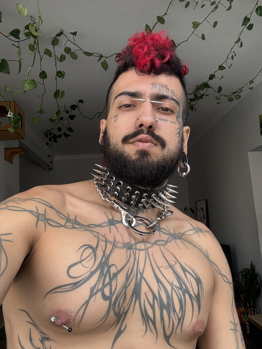 Hattori Hanzo tweet media