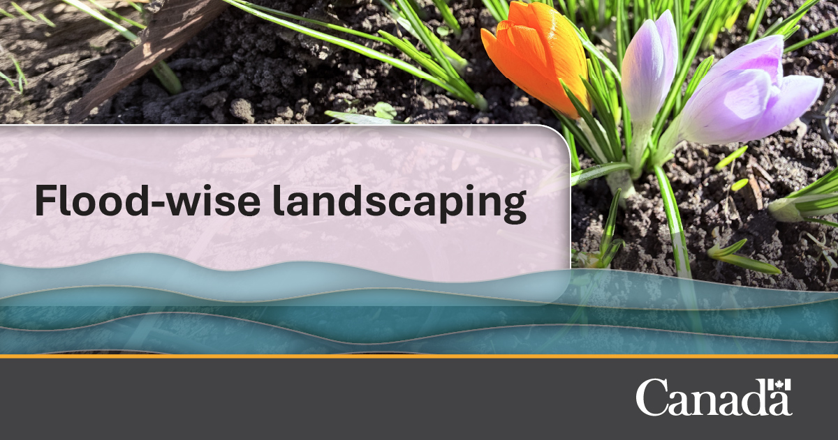 Public Safety Canada tweet media