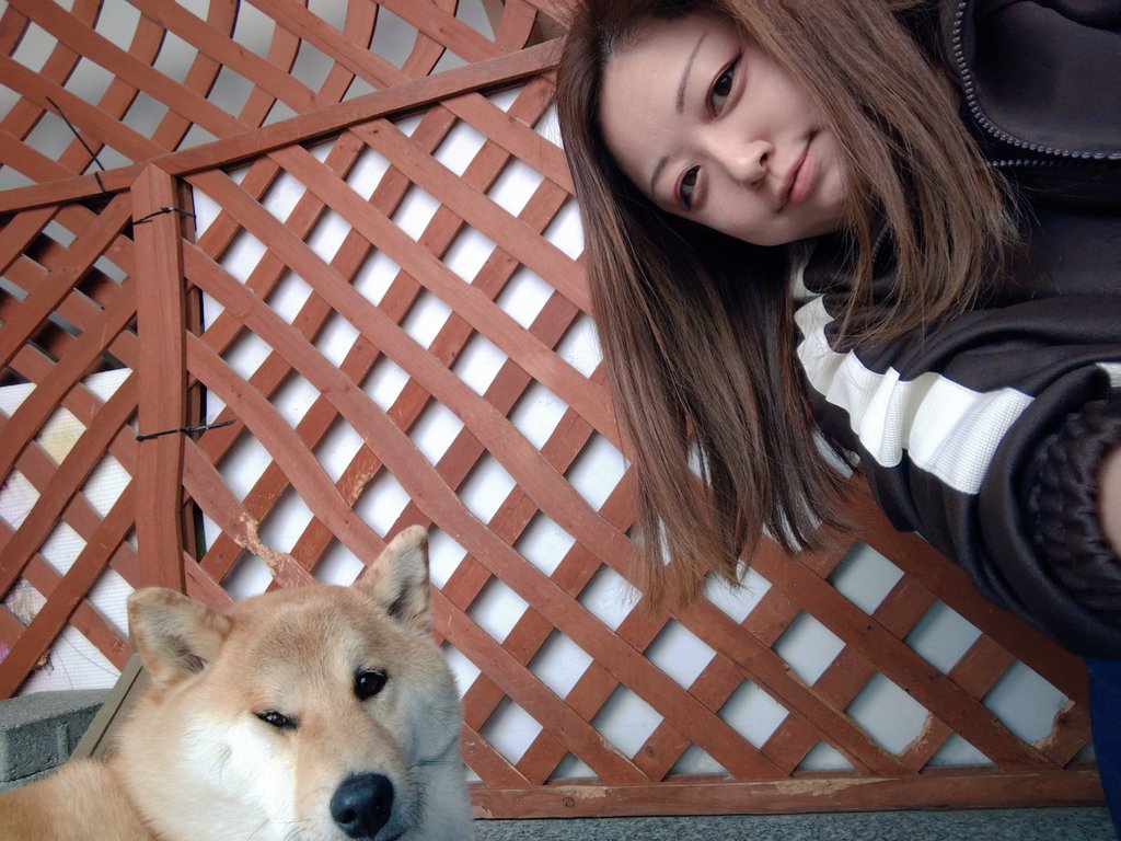 haru_4600_kk tweet media